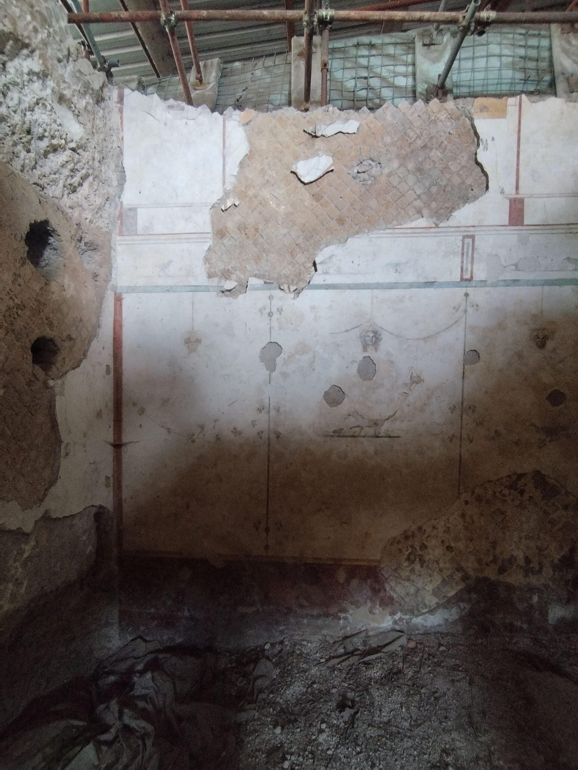palatino 3