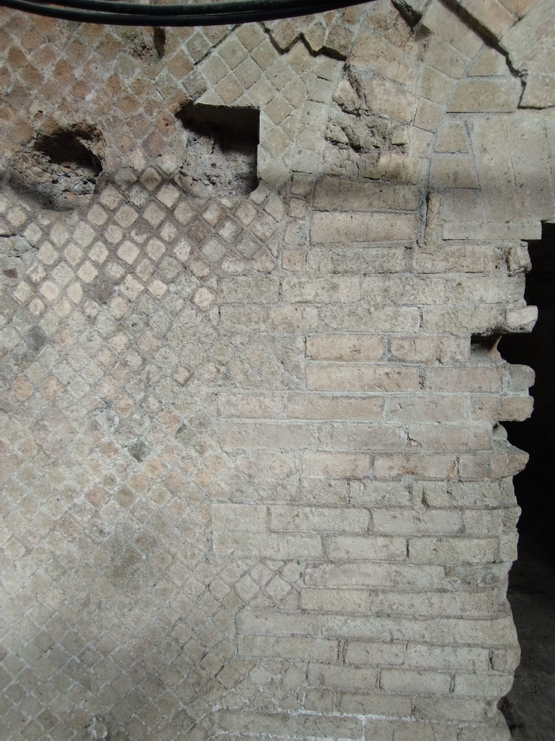 palatino 4